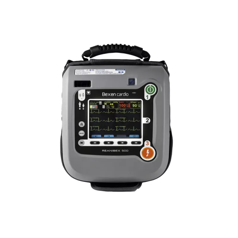 reanibex 500 ems